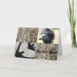 居住者エイリアン カード