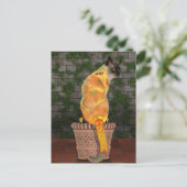 居心地のよいヒマワリ猫 ポストカード (スタンド正面)