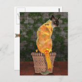 居心地のよいヒマワリ猫 ポストカード (正面/裏面)