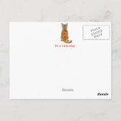 居心地のよいヒマワリ猫 ポストカード (裏面)