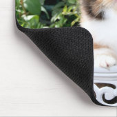 居心地のよい子ネコのさらさのペルシャの子ネコのマウスパッド マウスパッド (コーナー)