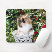 居心地のよい子ネコのさらさのペルシャの子ネコのマウスパッド マウスパッド (マウス)