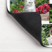 居心地のよい子ネコのマウスパッド マウスパッド (コーナー)