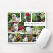 居心地のよい子ネコのマウスパッド マウスパッド (マウス)