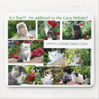 居心地のよい子ネコのマウスパッド マウスパッド