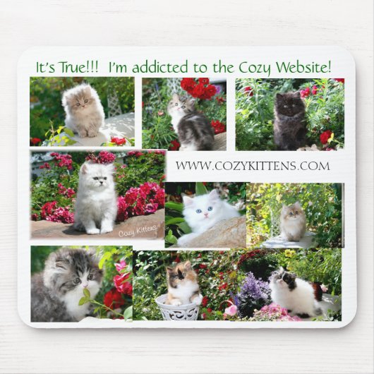 居心地のよい子ネコのマウスパッド マウスパッド (正面)