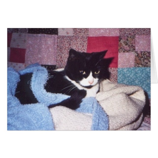 "居心地のよいTiki " (正面横)