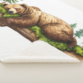 居心地の素朴良い寝台用熊の水色 シェルパブランケット (3/4)