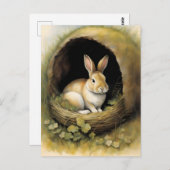 居心地の良いウサギの巣穴 ポストカード (正面/裏面)