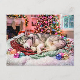 居心地の良いクリスマスのシーンで眠るハスキー ポストカード