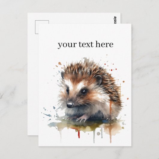 居心地の良いクリッター:ハリネズミの水色カスタム、 ポストカード (正面/裏面)