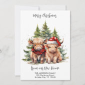 居心地の良いハイランドカウニューアドレスクリスマスムービング シーズンカード (正面)