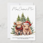居心地の良いハイランドカウファーム動物メリークリスマス シーズンカード (正面)