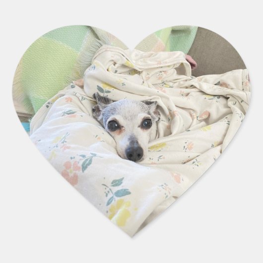 居心地の良いパールガールハートシール ハートシール (正面)