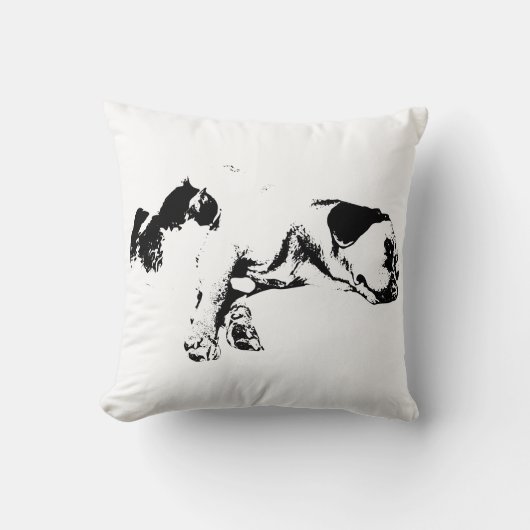 居心地の良いファイアサイドデュオ クッション (正面)