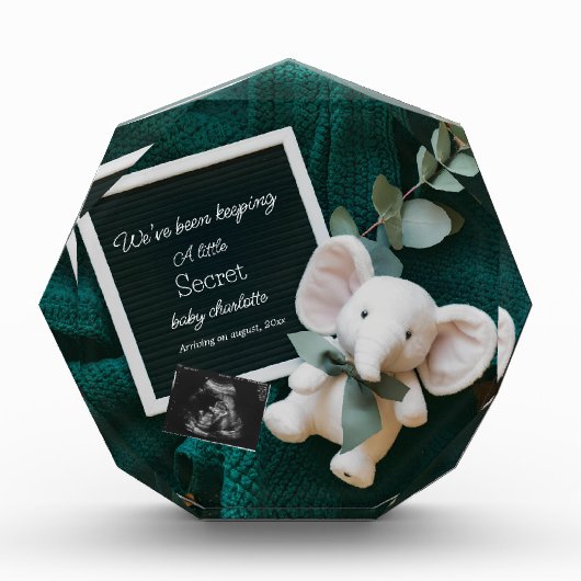 居心地の良い中立バスケット妊娠の発表 フォトブロック (正面)