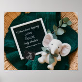 居心地の良い中立バスケット妊娠の発表 ポスター (正面)