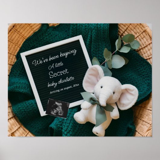 居心地の良い中立バスケット妊娠の発表 ポスター (正面)