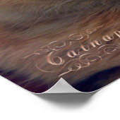 居心地の良い仮眠 ポスター (角)