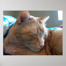 居心地の良い仮眠 ポスター