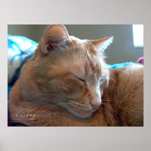 居心地の良い仮眠 ポスター (正面)