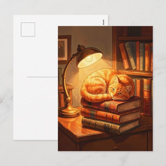 居心地の良い図書館の猫のポストカード - 本の虫へのギフトアート シーズンポストカード (正面/裏面)