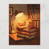 居心地の良い図書館の猫のポストカード - 本の虫へのギフトアート シーズンポストカード (正面)