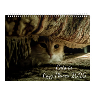 居心地の良い場所の猫たち 2026 カレンダー