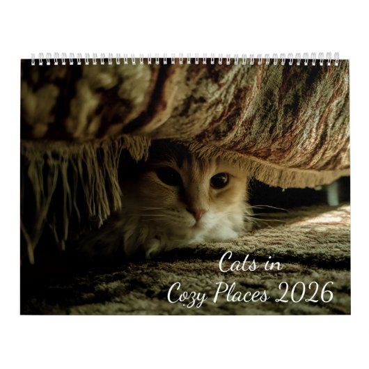 居心地の良い場所の猫たち 2026 カレンダー (カバー)