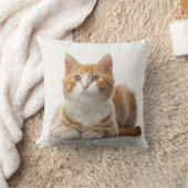 居心地の良い居心地：怠け者のジンジャーキャットピロー クッション (ブランケット)
