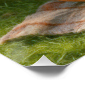 居心地の良い木の穴の文筆のネズミ ポスター (コーナー)