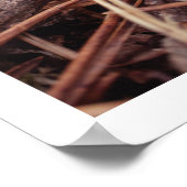 居心地の良い秋パインコーン秋の農家のウォールアート ポスター (角)