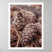 居心地の良い秋パインコーン秋の農家のウォールアート ポスター (正面)