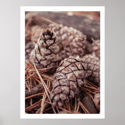 居心地の良い秋パインコーン秋の農家のウォールアート ポスター (正面)