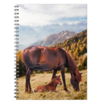 居心地の良い秋