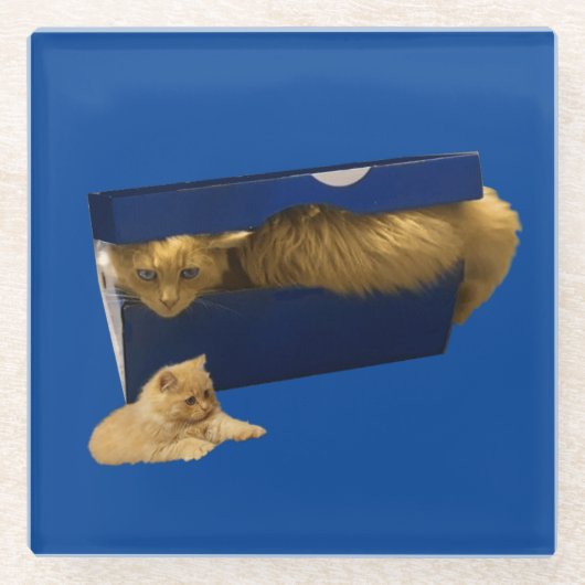 「居心地の良い隠れ家：靴箱の中のジンジャー猫」 ガラスコースター (正面)