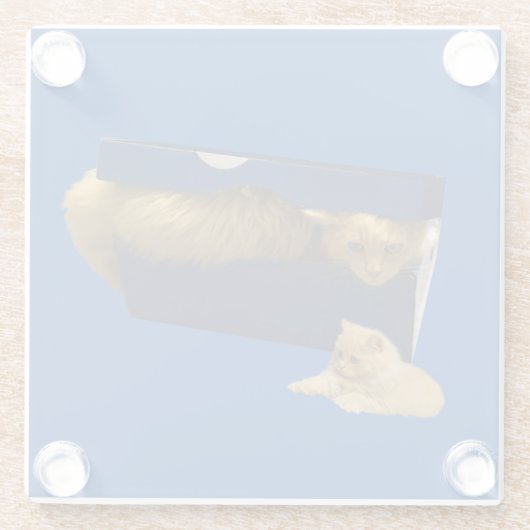 「居心地の良い隠れ家：靴箱の中のジンジャー猫」 ガラスコースター (裏面)