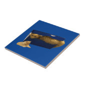 「居心地の良い隠れ家:靴箱の中のジンジャー猫」 タイル (側面)