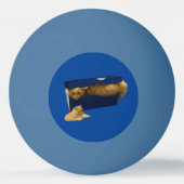 「居心地の良い隠れ家：靴箱の中のジンジャー猫」 卓球ボール (正面)