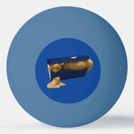 「居心地の良い隠れ家：靴箱の中のジンジャー猫」 卓球ボール (正面)