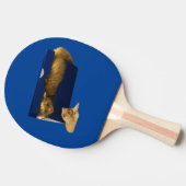 「居心地の良い隠れ家：靴箱の中のジンジャー猫」 卓球ラケット (横)