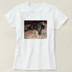 居眠りしているCatahoulaのヒョウ犬 Tシャツ