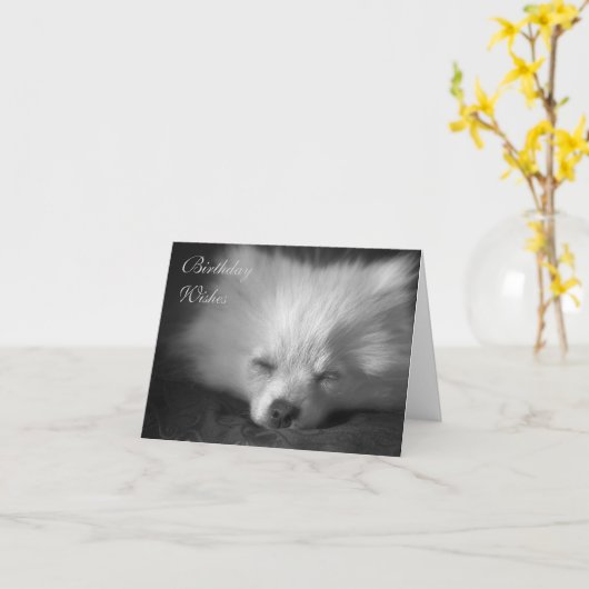居眠りのポメラニア犬のバースデー・カード カード (黄色い花)