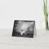 居眠りのポメラニア犬のバースデー・カード カード (正面)