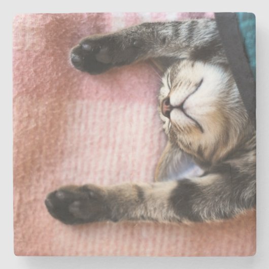 居眠りの子ネコ ストーンコースター (正面)