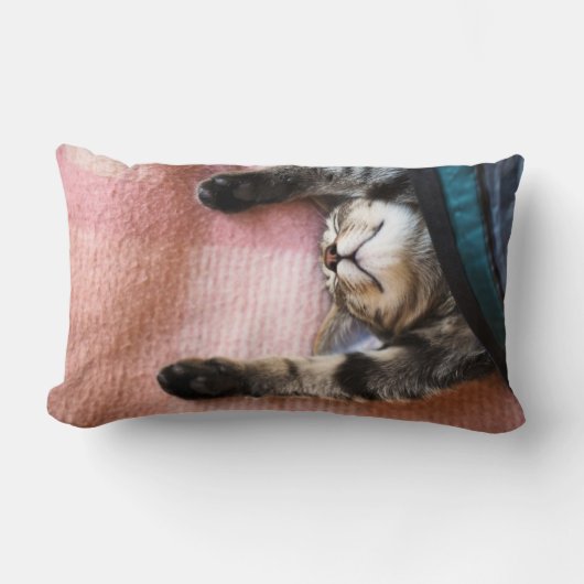 居眠りの子ネコ ランバークッション (正面)