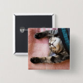 居眠りの子ネコ 缶バッジ (正面&裏面)