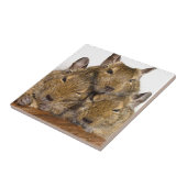 居眠りのDeguのトリオのタイル タイル (側面)