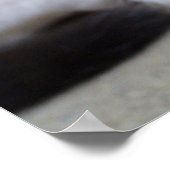 居眠りカリコキッテン ポスター (角)