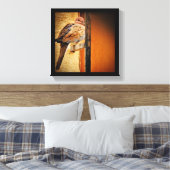 居眠り鳩 キャンバスプリント (インサイチュ (寝室))